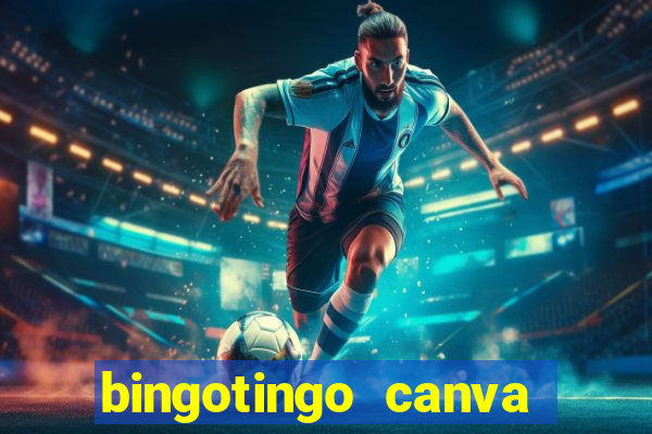 bingotingo canva pro gratis